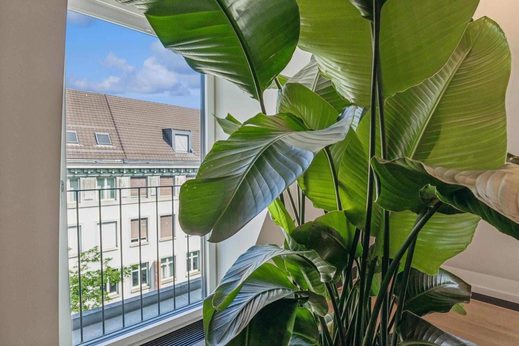 Horizon Loewenstrasse Penthouse Appartement